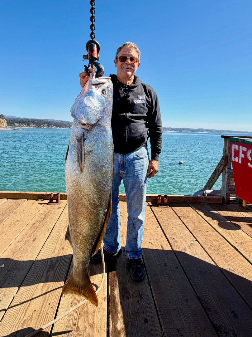 Rockcod, bonito among targeted species