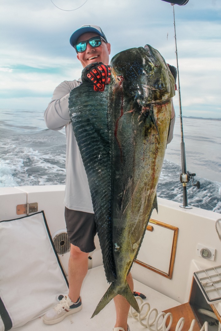 Cabo's Dorado Bite Takes Off!