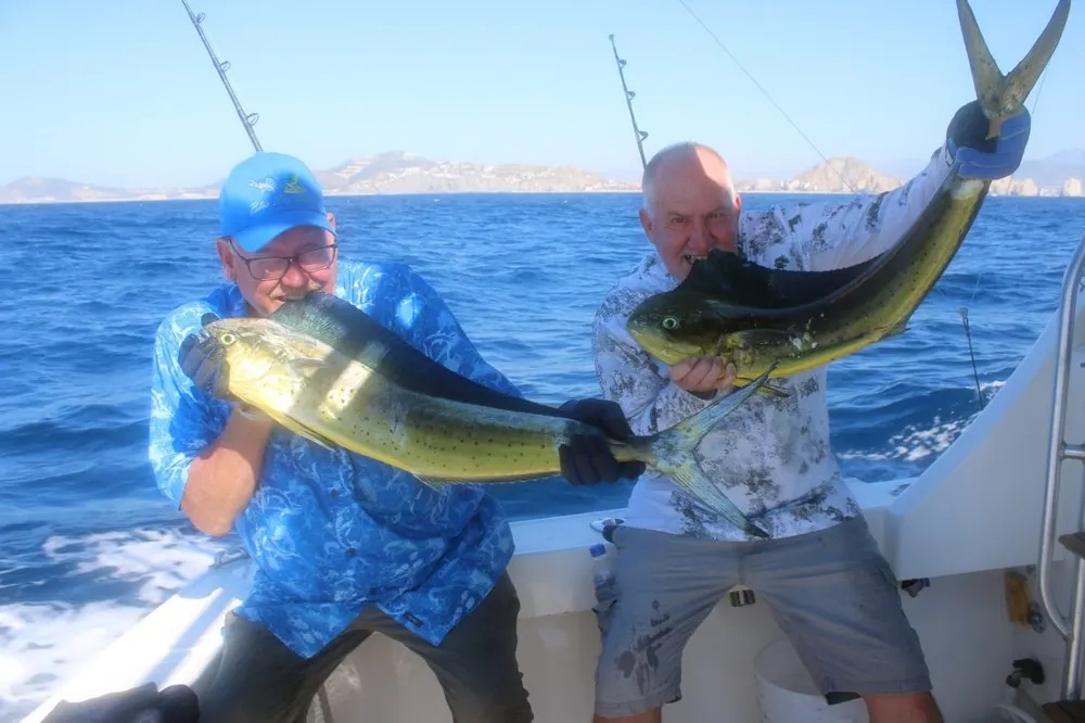 Dorado Takes the Bait and the Spotlight!