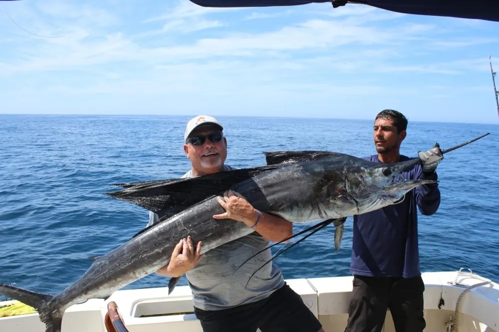 Marlin Strikes and Dorado Takedowns