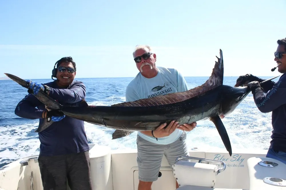 Marlin and Dorado Ignite the Pacific