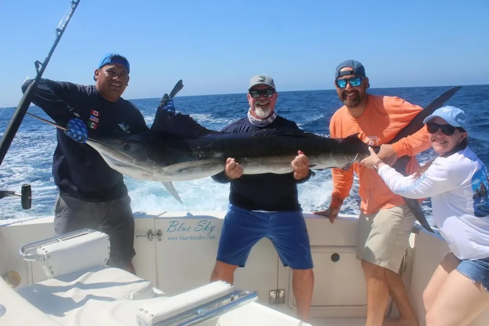 The Marlin and released Bite Is Heating Up!