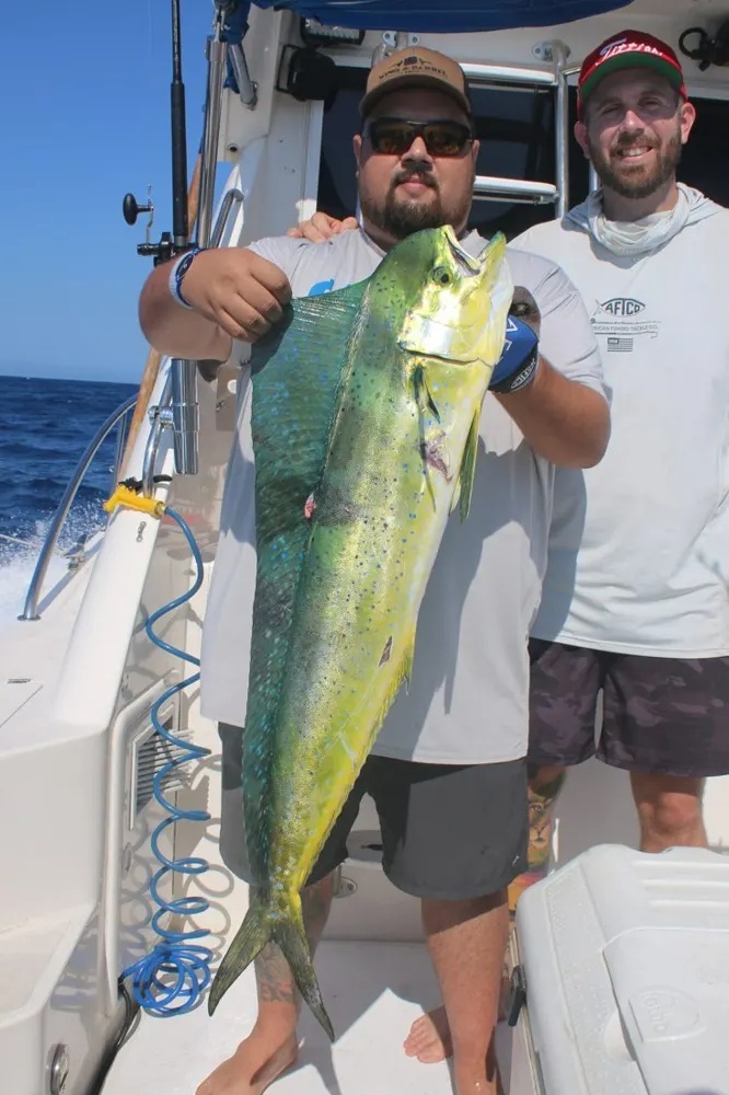 Marlin Mania Meets Dorado Fever