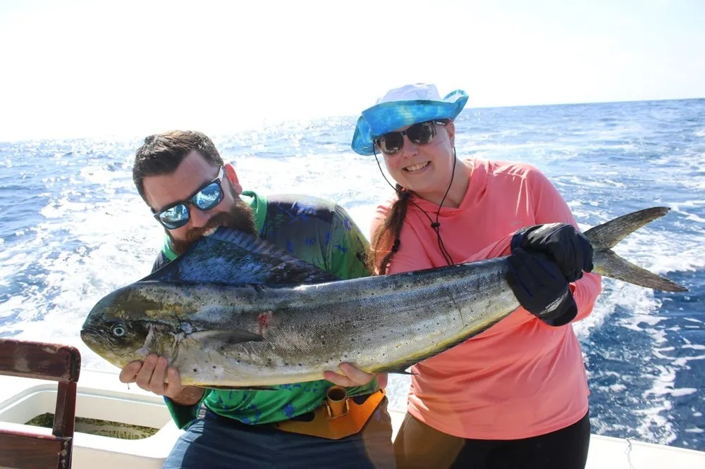 Dorado Hookups Electrify the Day!