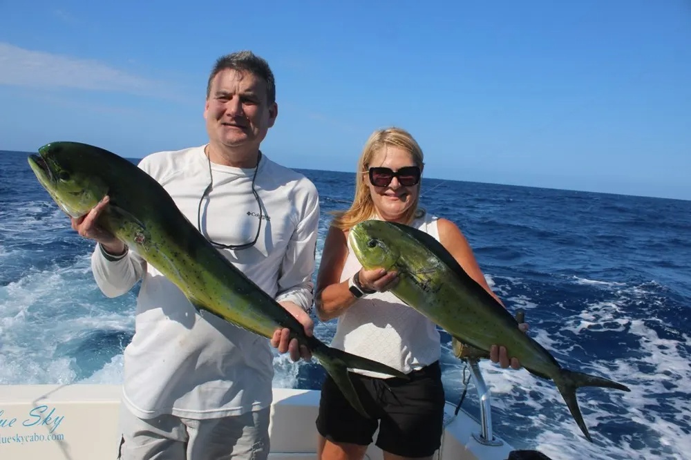 Marlin and Dorado Set Cabo on Fire