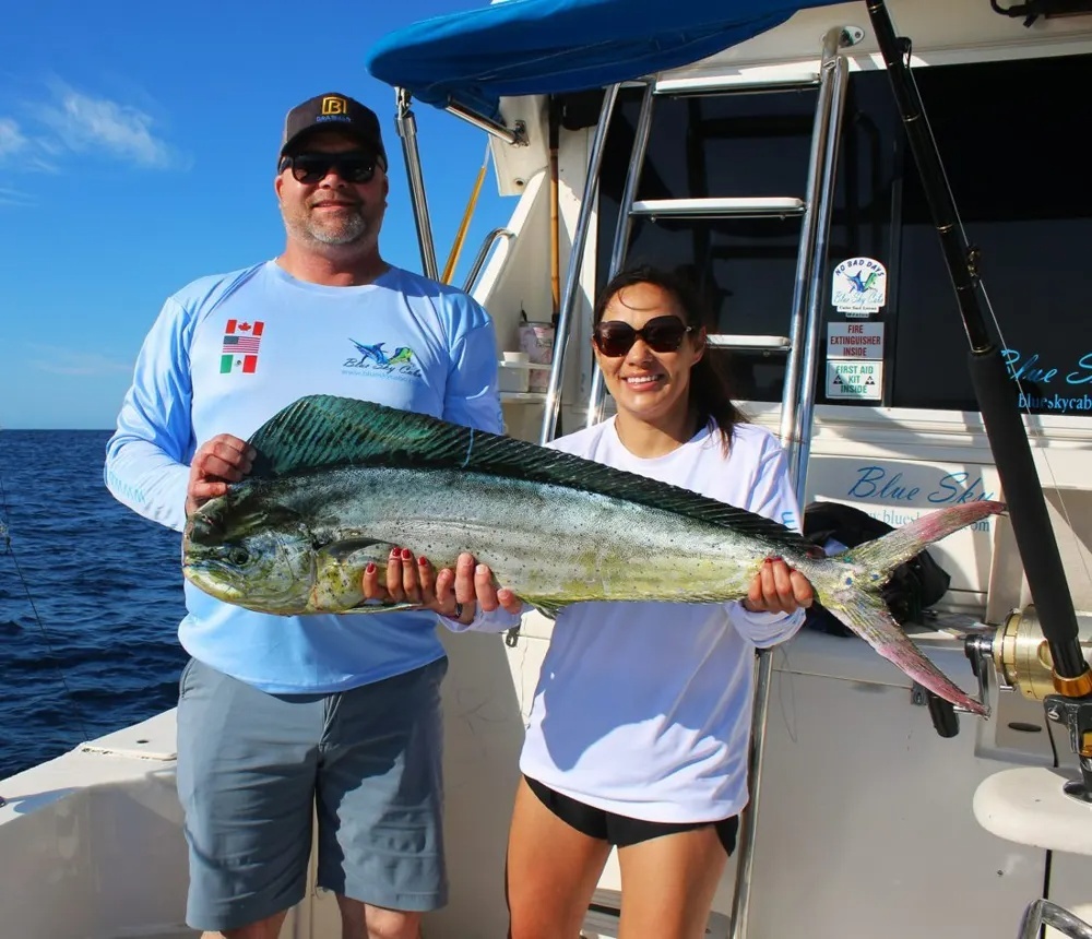 Dorado Action Sets the Ocean Buzzing!