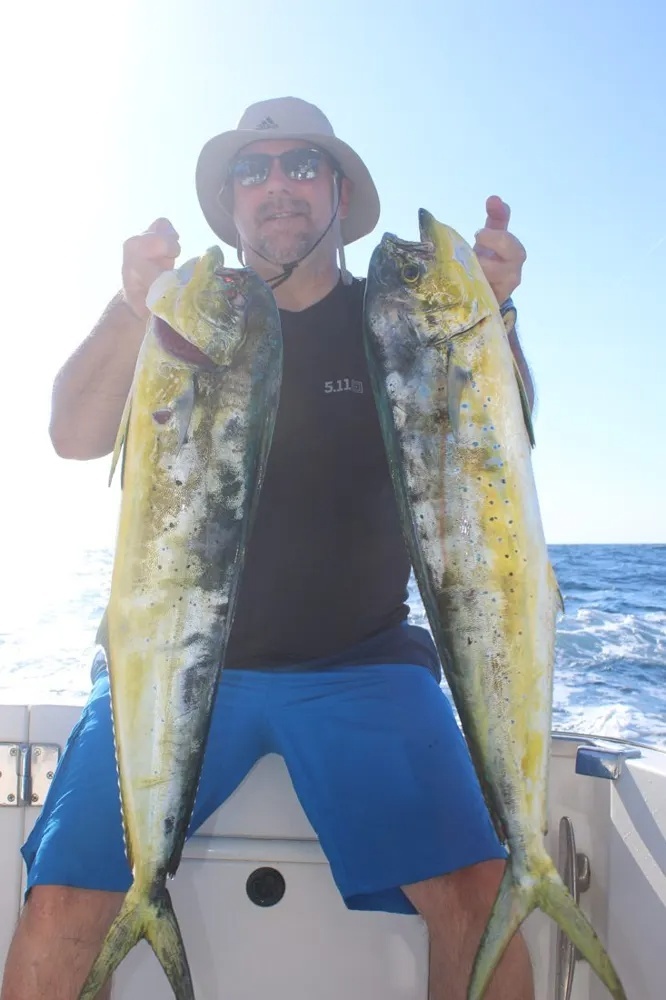 Marlin Fireworks and Dorado Frenzy