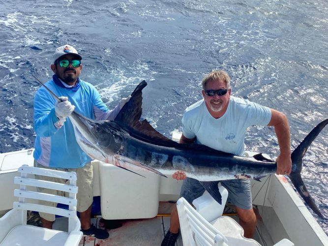 120 lb. Striped Marlin