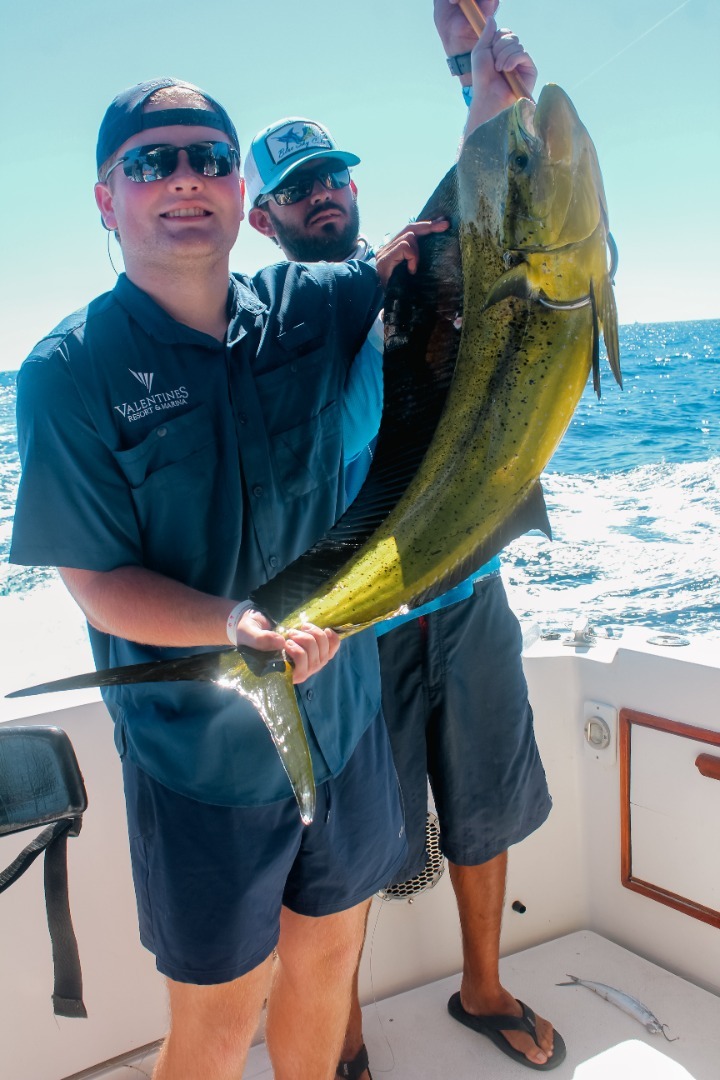 Dorado Bite Ignites the Pacific!