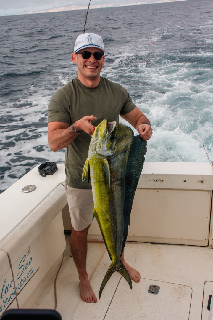 Cabo Erupts with Dorado Excitement!