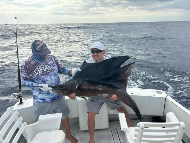 Nice Sailfish on the El Budster