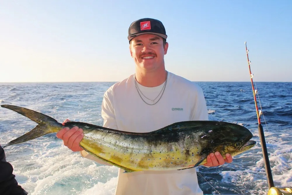 Marlin Madness Meets Dorado Mayhem