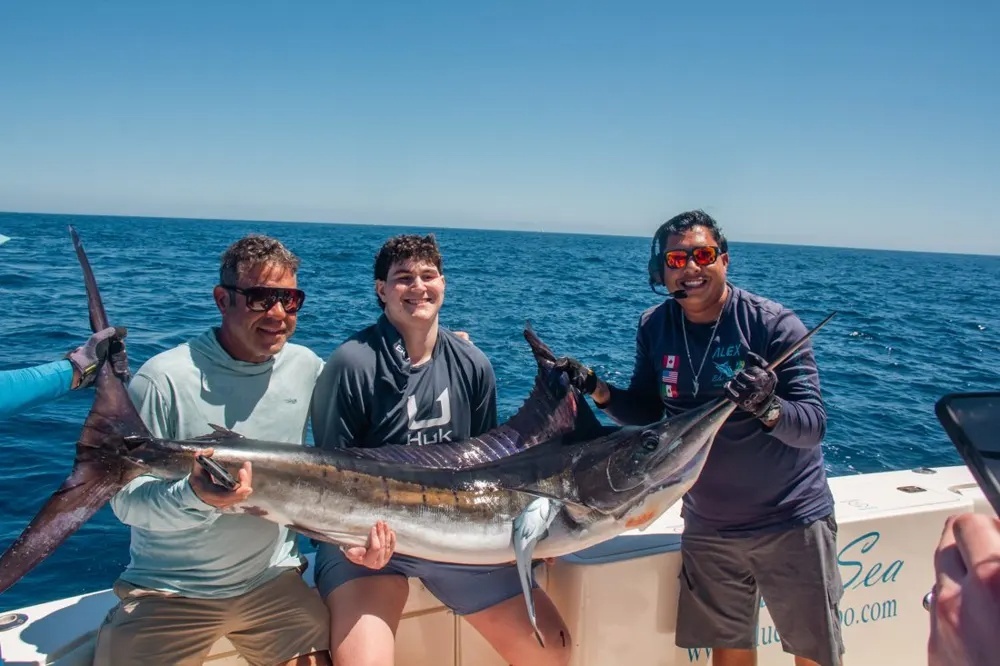 Cabo Marlin Success Continues!