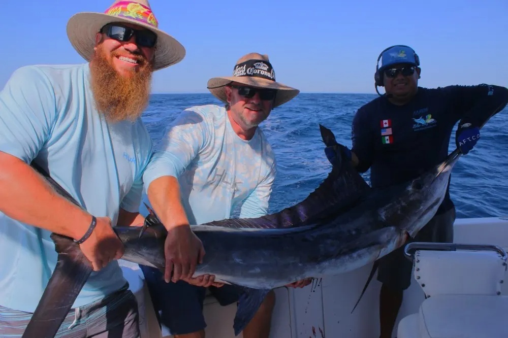 Marlin and Dorado Create an Offshore Frenzy