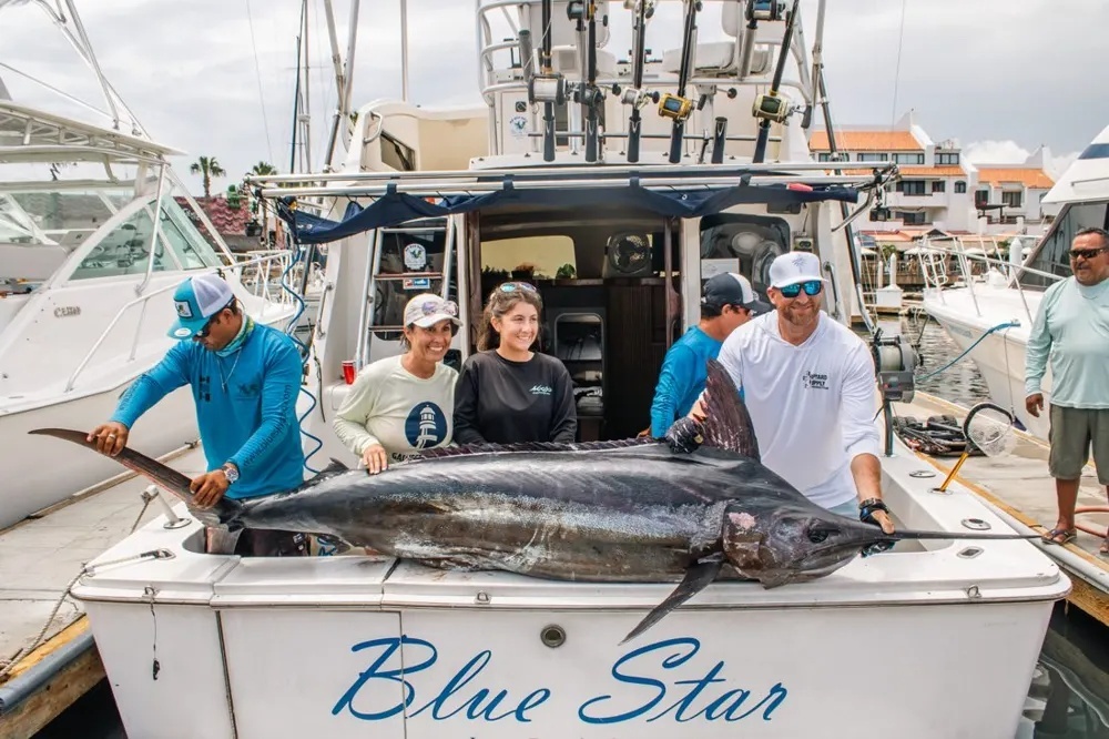 Marlin and Dorado – Two Species, One Epic Charter
