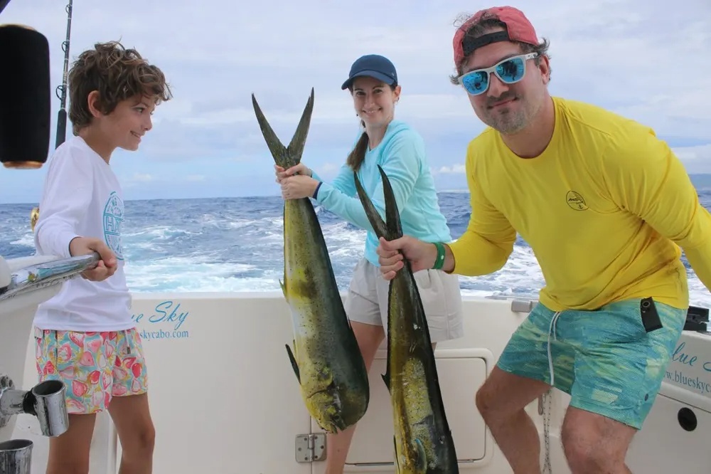 Marlin Battles and Golden Dorado Action