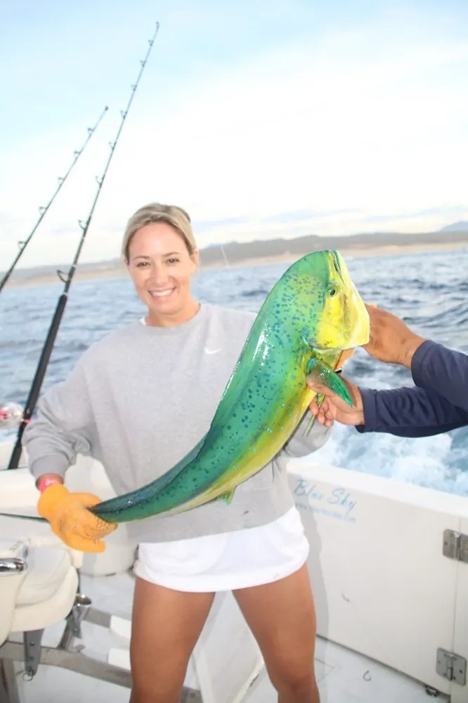 Marlin and Dorado – A Double Dose of Action