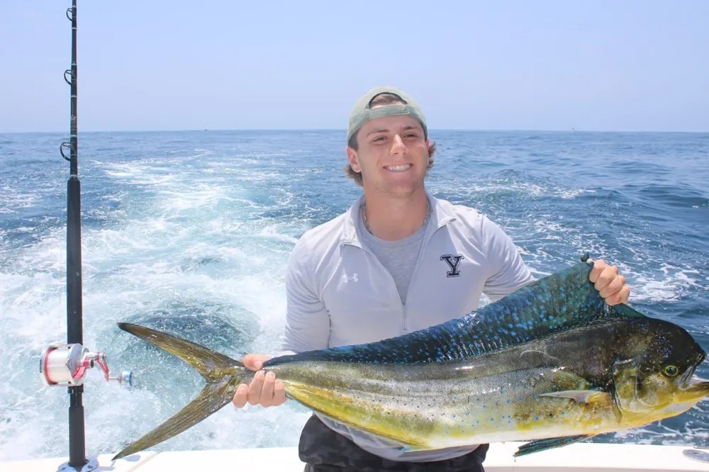 Cabo Dorado Hookup Steals the Show!