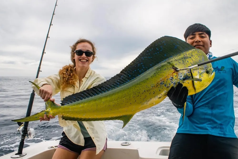 Cabo Dorado Adventure Delivers Again!