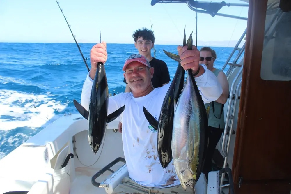 Tuna Battle Takes Center Stage