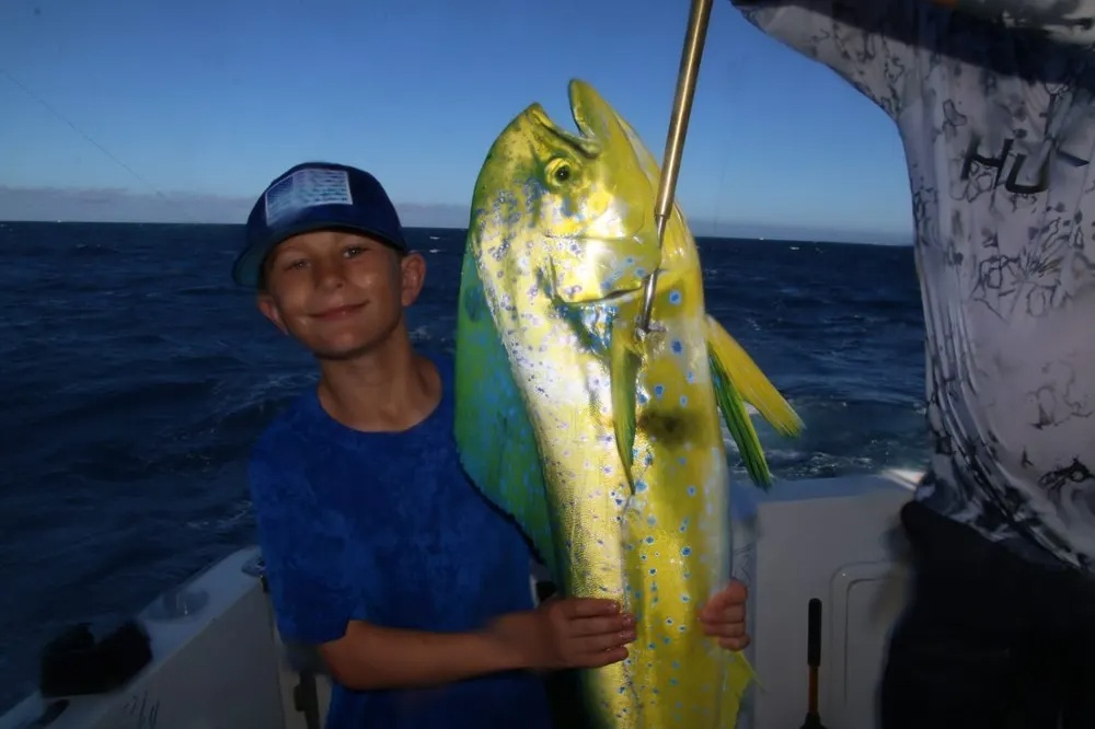 Dorado Takes the Lure and Runs!