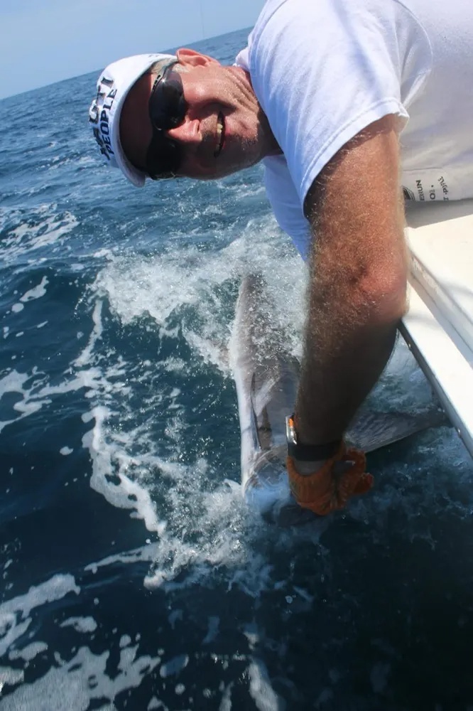 Marlin Action and Dorado Fireworks Collide