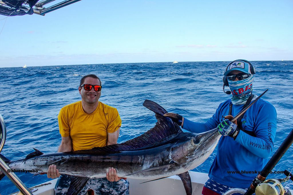 The Marlin Strike Everyone Was Waiting For!