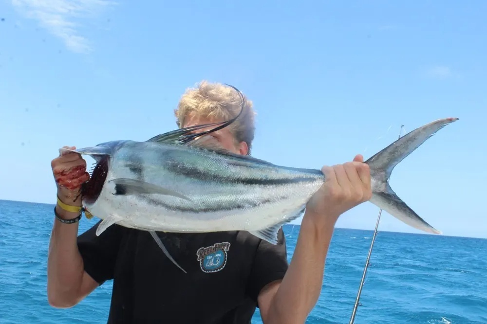 Screaming Reels and Roosterfish Strikes