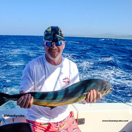 Cabo's Dorado Hookup Brings the Energy!
