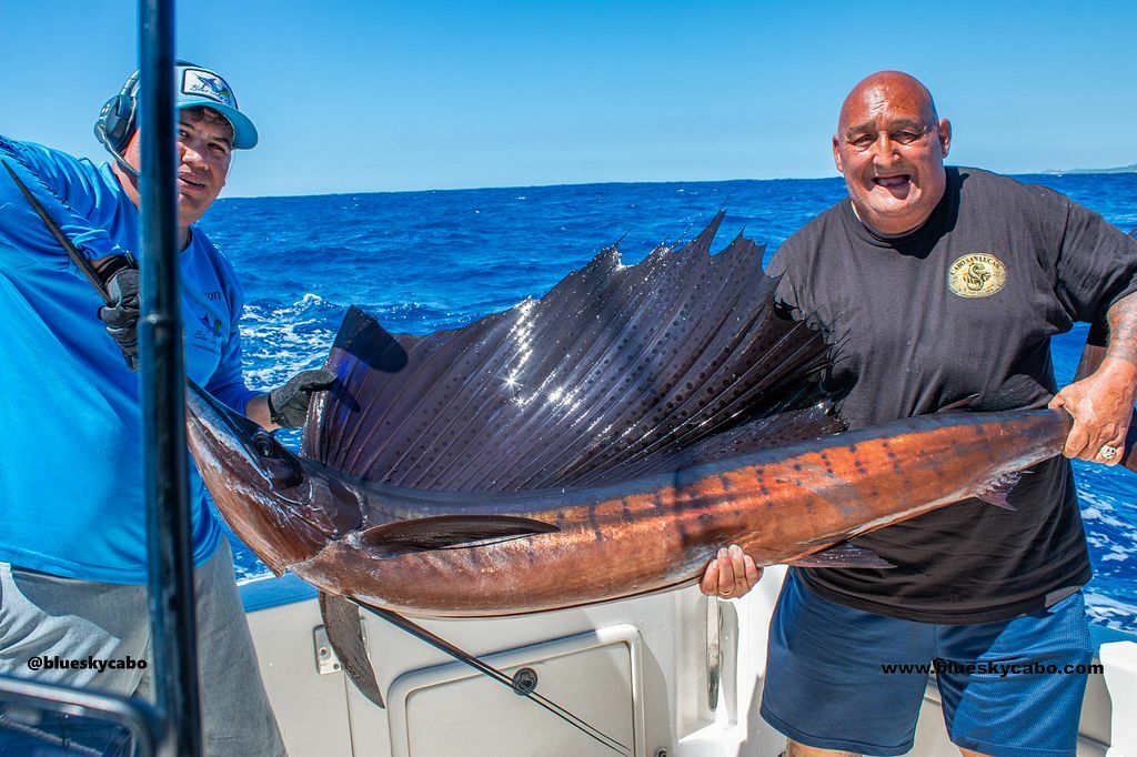 Marlin and Dorado – Offshore Fishing at Its Finest