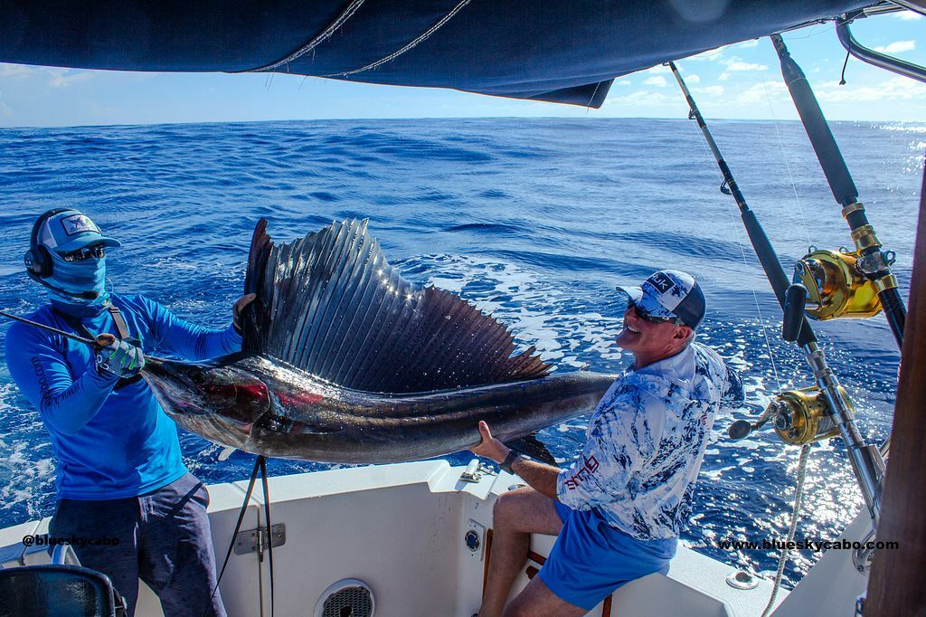Another Memorable Marlin Catch in Cabo!