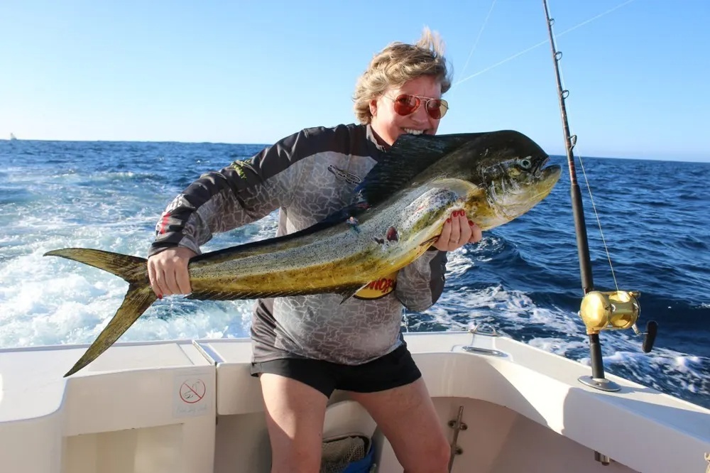 Marlin, Dorado & Tuna – Pacific Action at Full Throttle