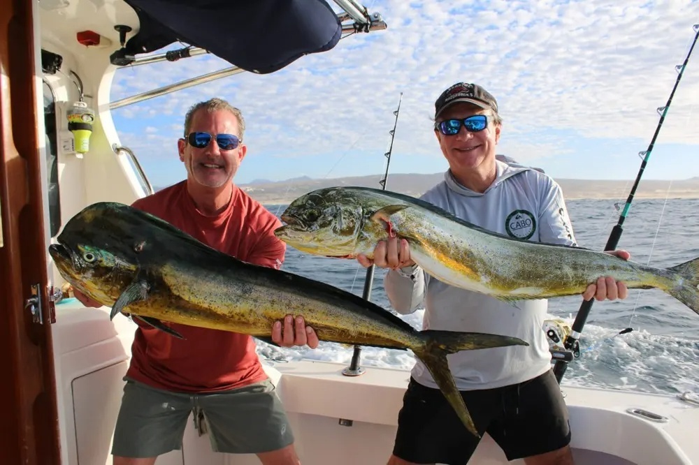Marlin and Dorado – The Ultimate Offshore Combination