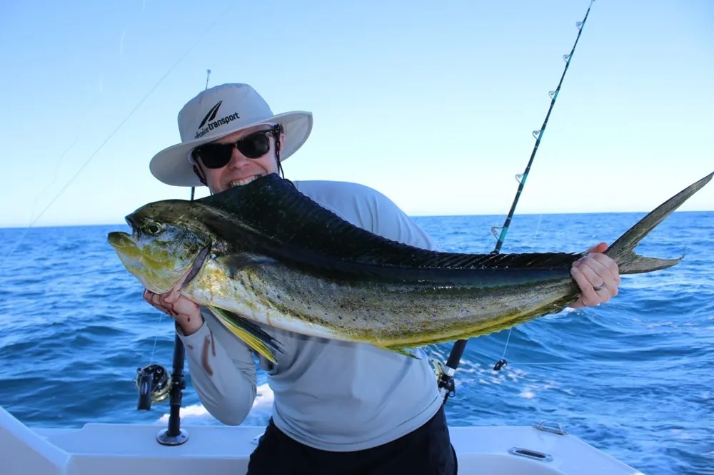 Marlin, Dorado & Tuna – A Pacific Power Surge