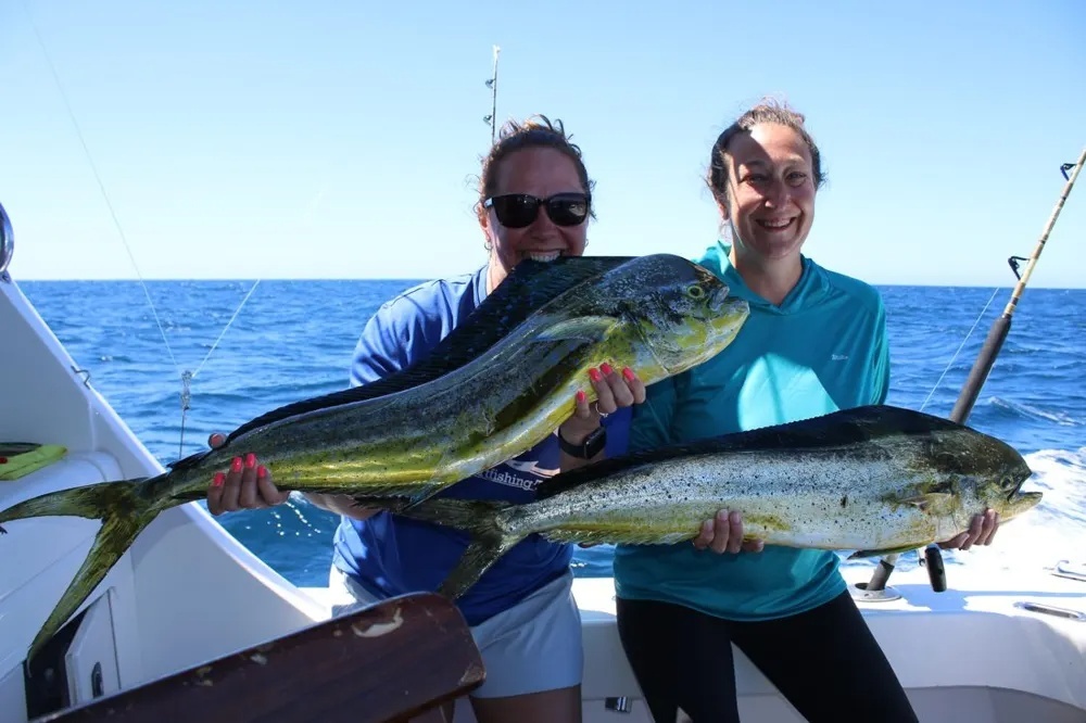 Marlin Frenzy and Dorado Thunder