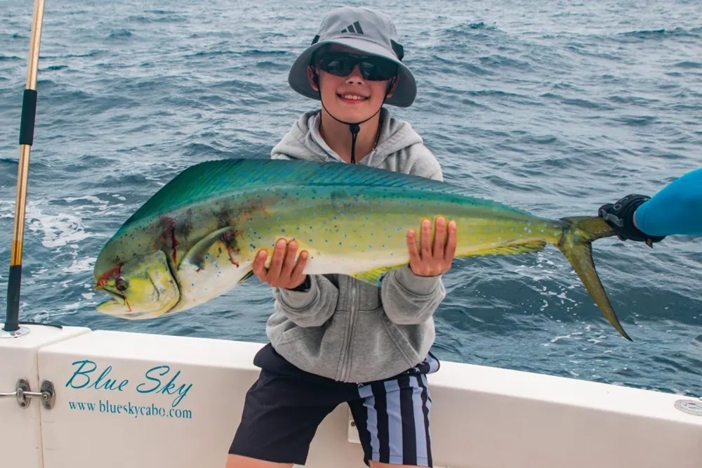 Cabo Dorado Adventure Hits Its Stride!