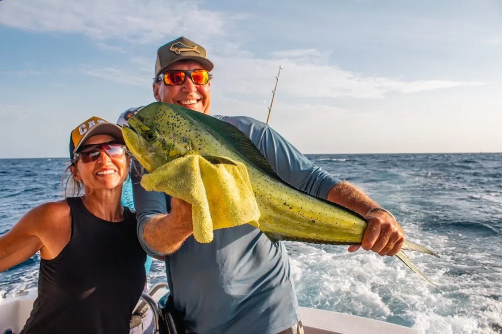 Dorado Frenzy Along the Baja Coast!