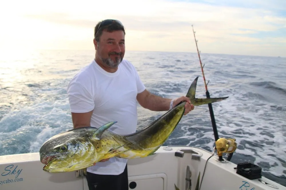 Cabo's Offshore Dorado Adventure Unfolds!