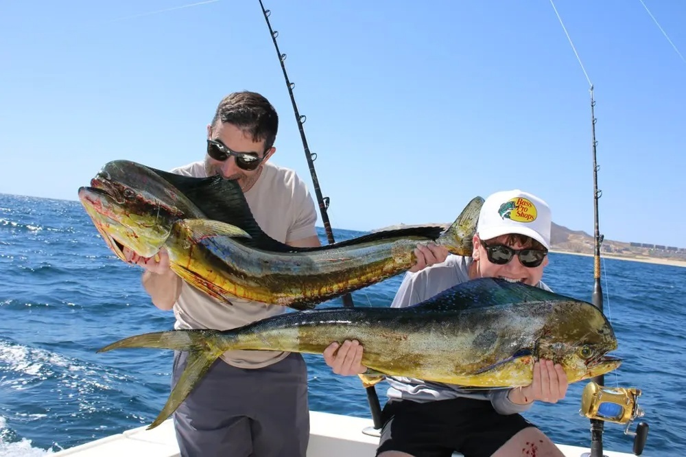 Marlin Strikes and Dorado Gold Ignite Cabo