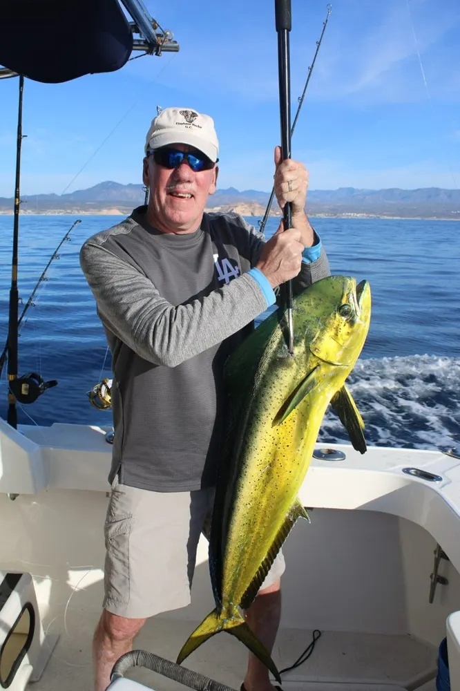 Golden Dorado and Colorful Action
