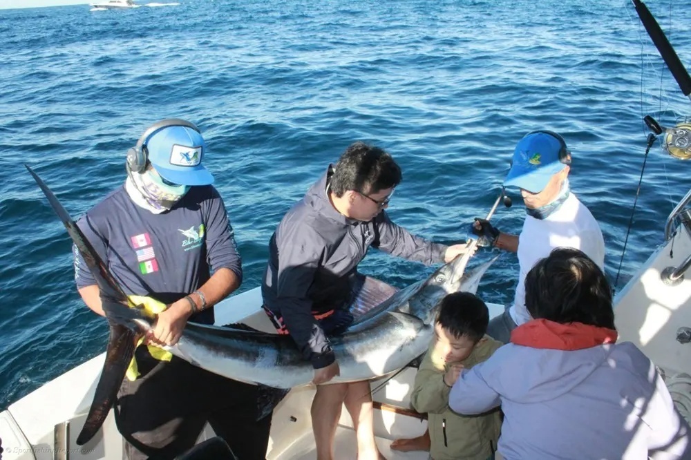 Marlin and Tuna Make Waves