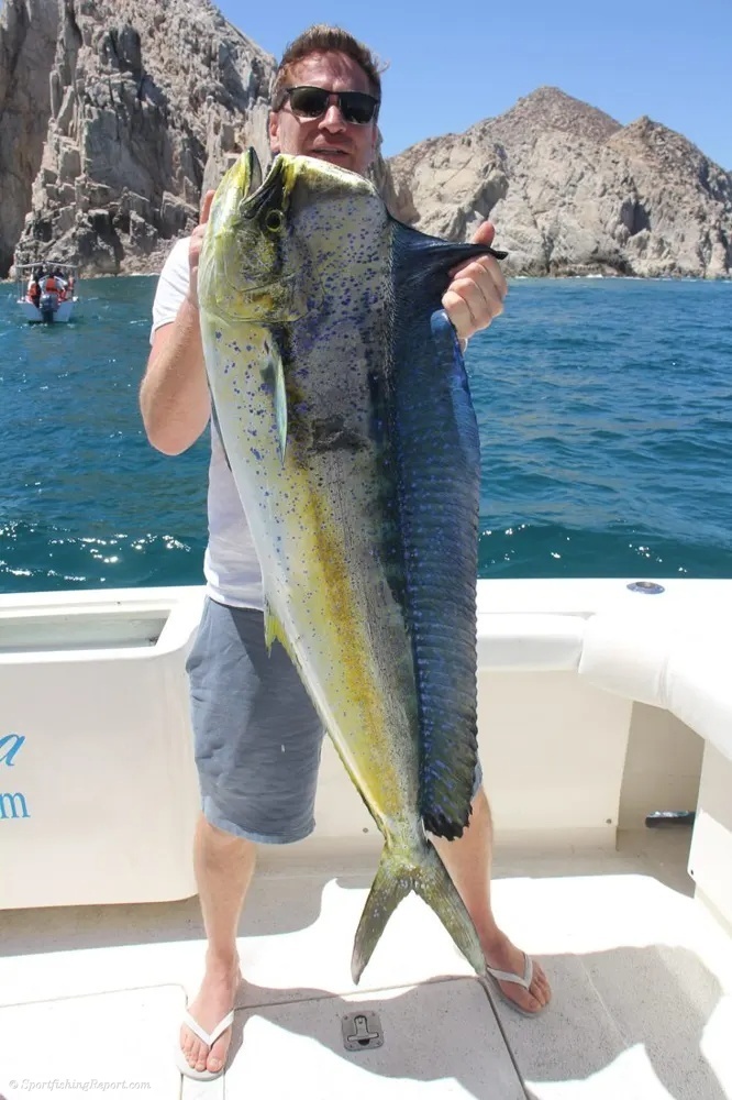 Yellowfin Tuna Fight from Start to Finish