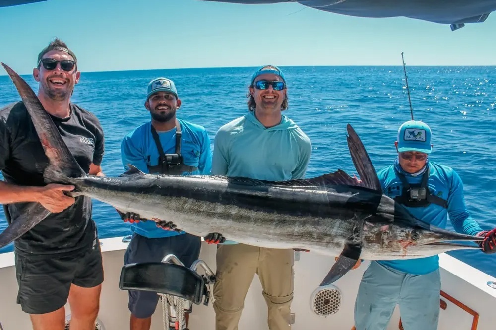 Marlin Fever Hits Cabo San Lucas!