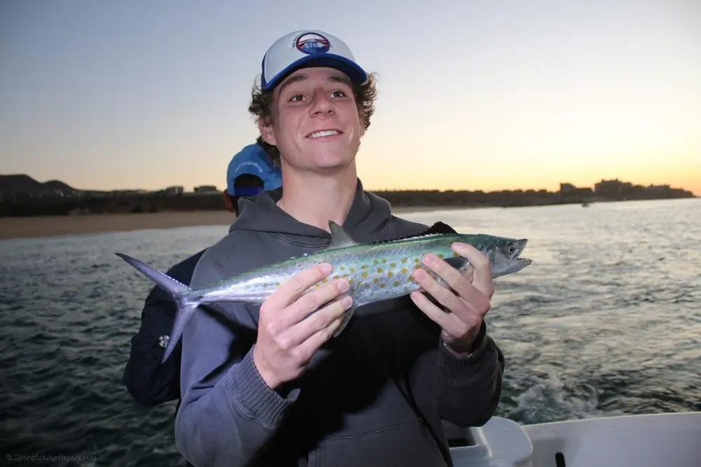 Roosterfish Hookup Delivers Instant Excitement!