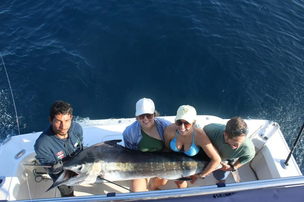 Striped Marlin Madness Offshore!