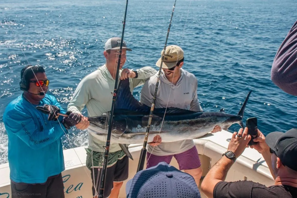 Marlin and Dorado – A Pacific Doubleheader to Remember