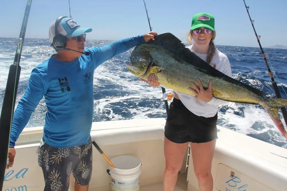 Marlin Madness and Dorado Firepower
