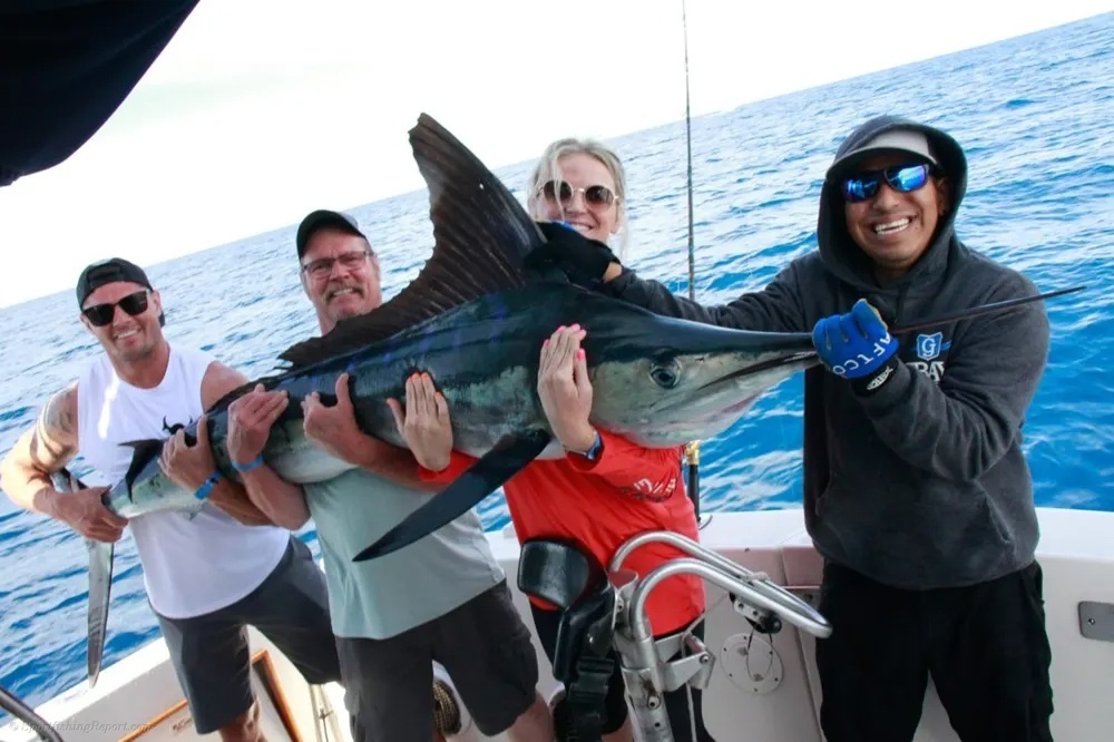 Marlin Action Brings the Ocean Alive!