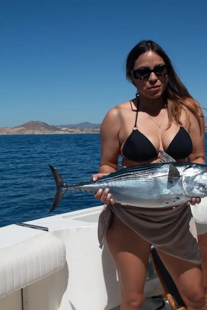 Cabo Tuna Bite Creates Instant Chaos