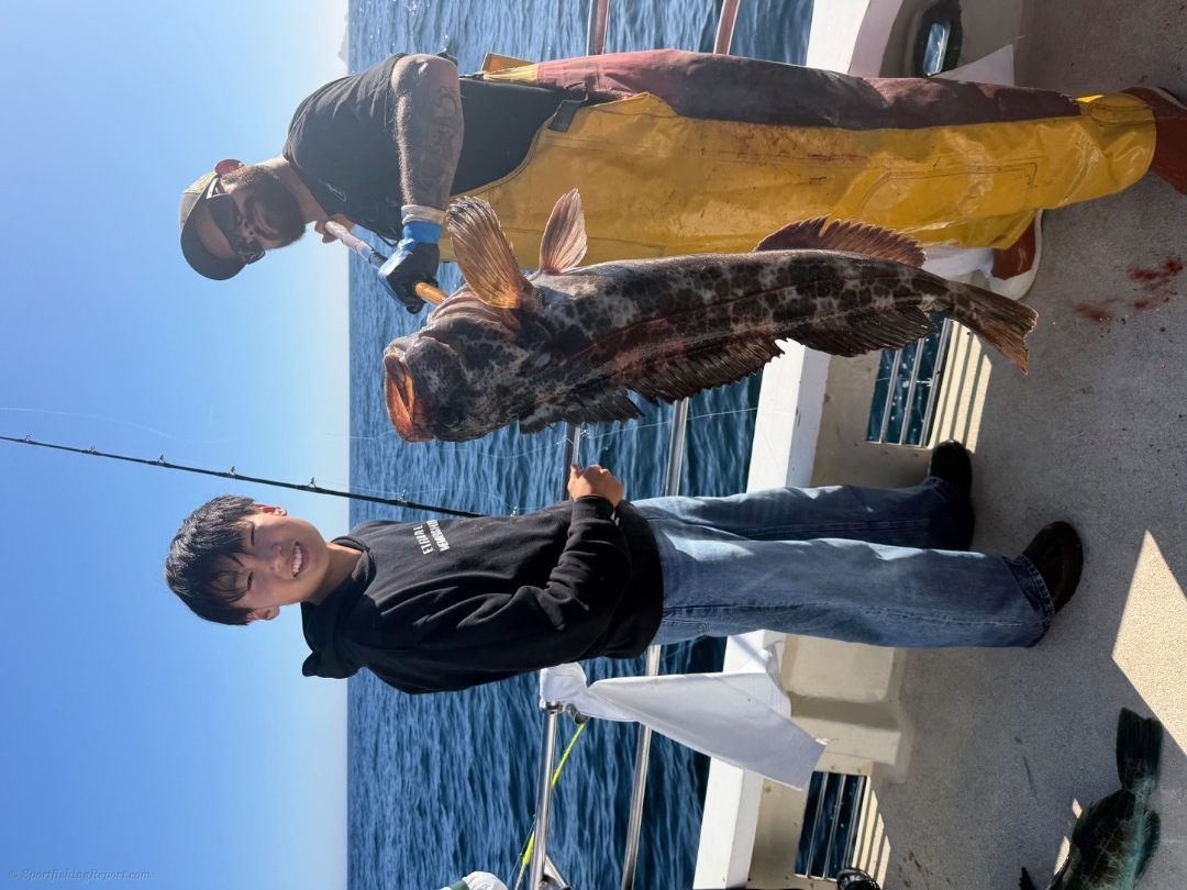 Wide open rockfish and lingcod
